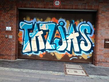 Graffiti Wall in Bonn - Photo by mayer - TAZ, JAS (2013)