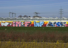 Photo #79293 by FAMELEVEL0