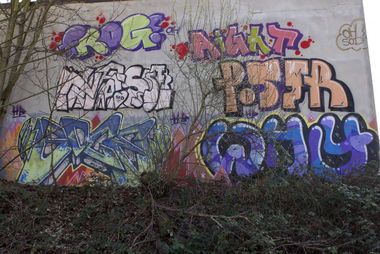 Graffiti Bombing - Photo by mayer - soce, why, frog