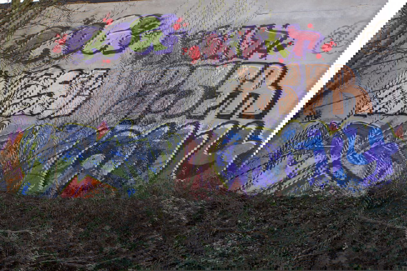 Graffiti Bombing - Photo by mayer - soce, why, frog