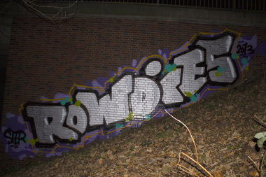 Graffiti Bombing - Photo by mayer - ras, rowdies, ster (2013)