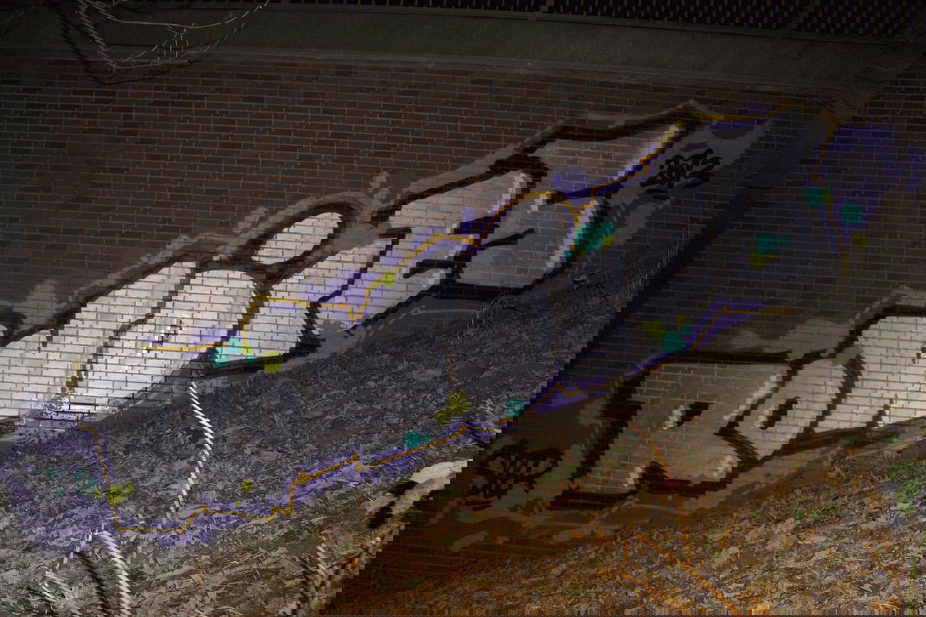 Graffiti Bombing - Photo by mayer - ras, rowdies, ster (2013)