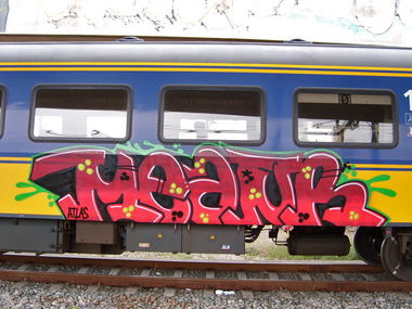 Graffiti Train - Photo by meanr - meanr (2010)
