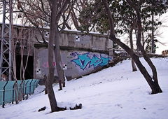 Photo #12778 by ceon35