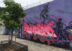 Graffiti Wall - Photo by medusa - ny, bronx (2017)