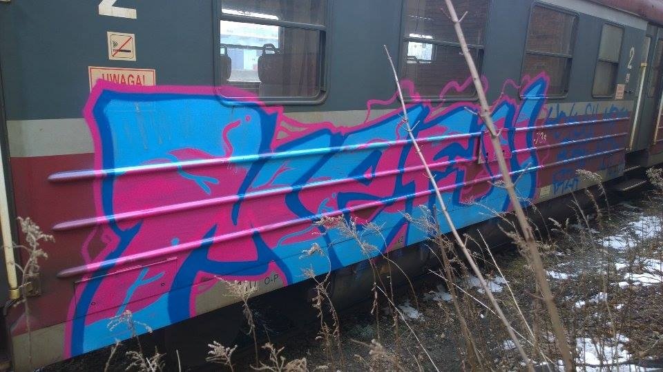 Graffiti Train - Photo by meefciu