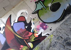 Photo #231284 by Belt