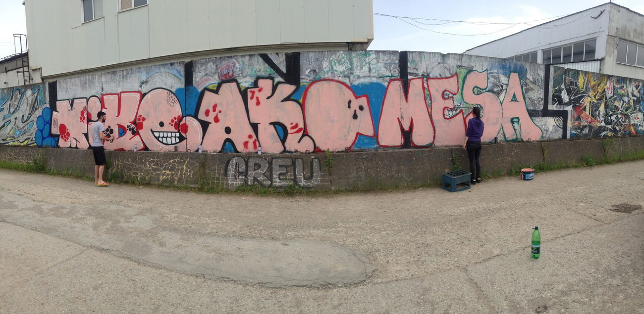 Graffiti Street Art in Brasov - Photo by mesa308 - mikeakomesagraffitibrasov (2016)