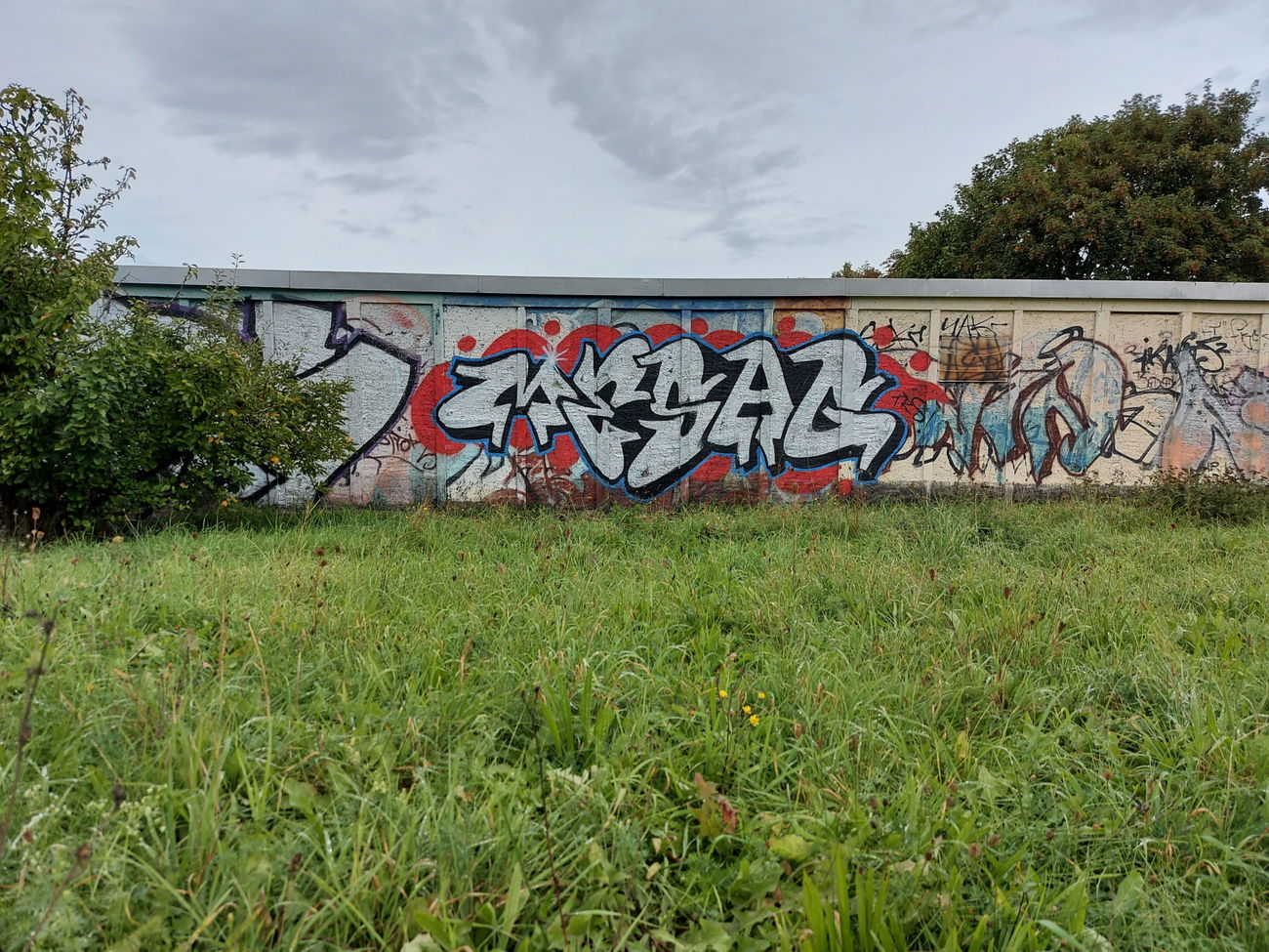 Graffiti Wall - Photo by mesag (2020)