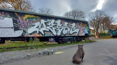 Graffiti of the Week 44/2020