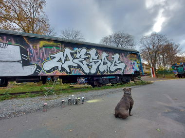 Graffiti Wall - Photo by mesag (2020)