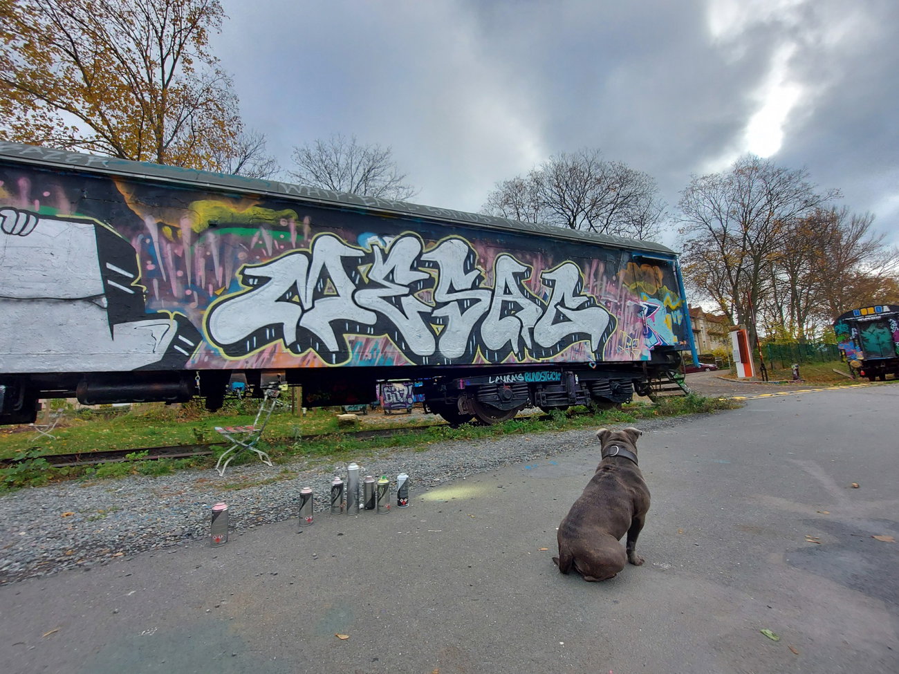 Graffiti Wall - Photo by mesag (2020)