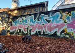 Graffiti Wall - Photo by mesag (2020)