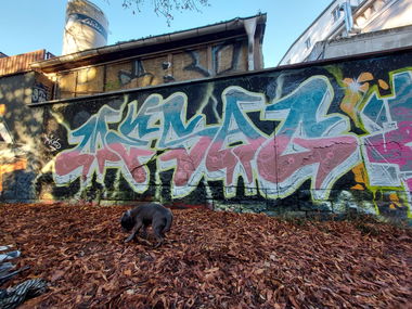 Graffiti Wall - Photo by mesag (2020)