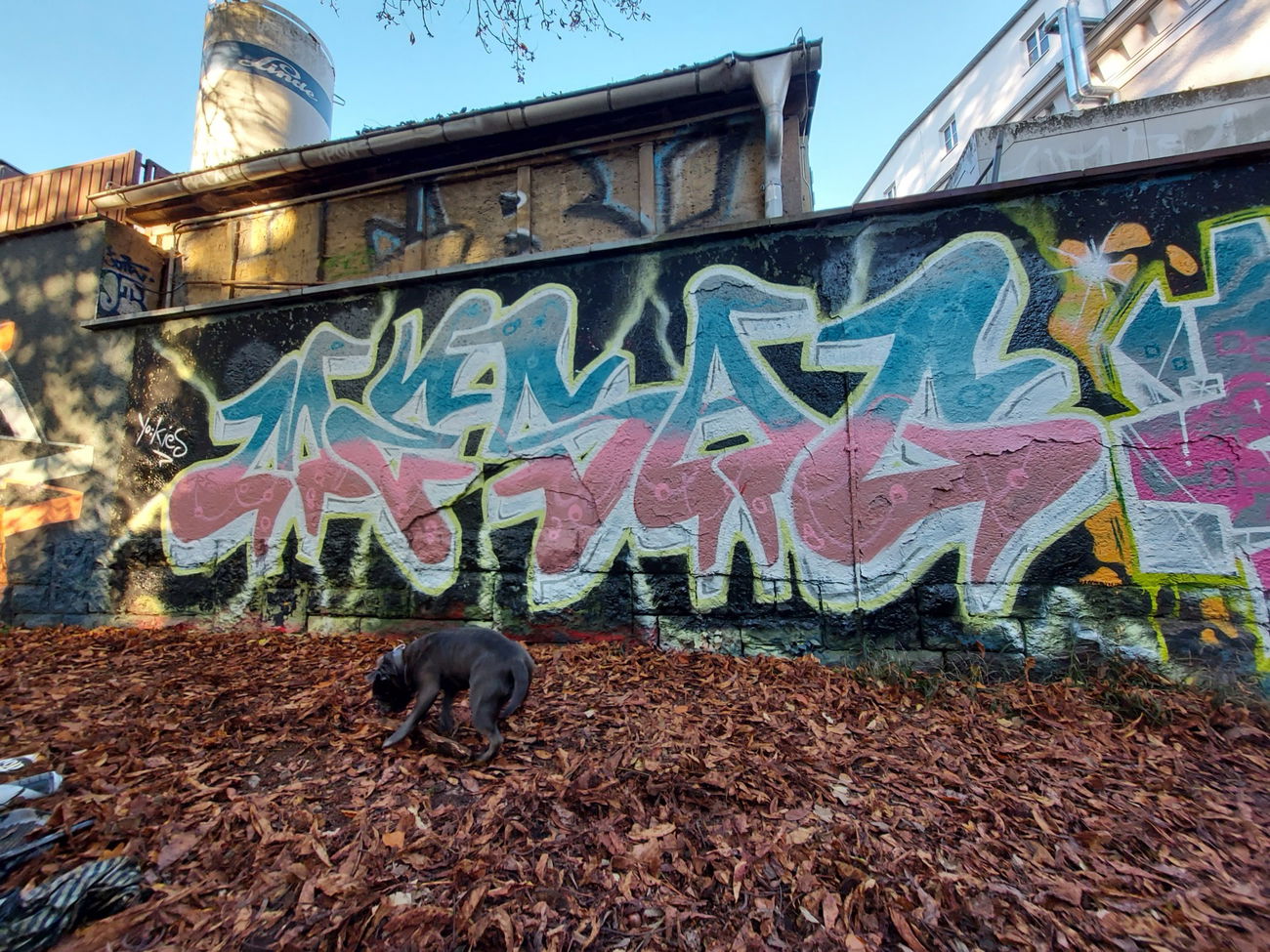 Graffiti Wall - Photo by mesag (2020)