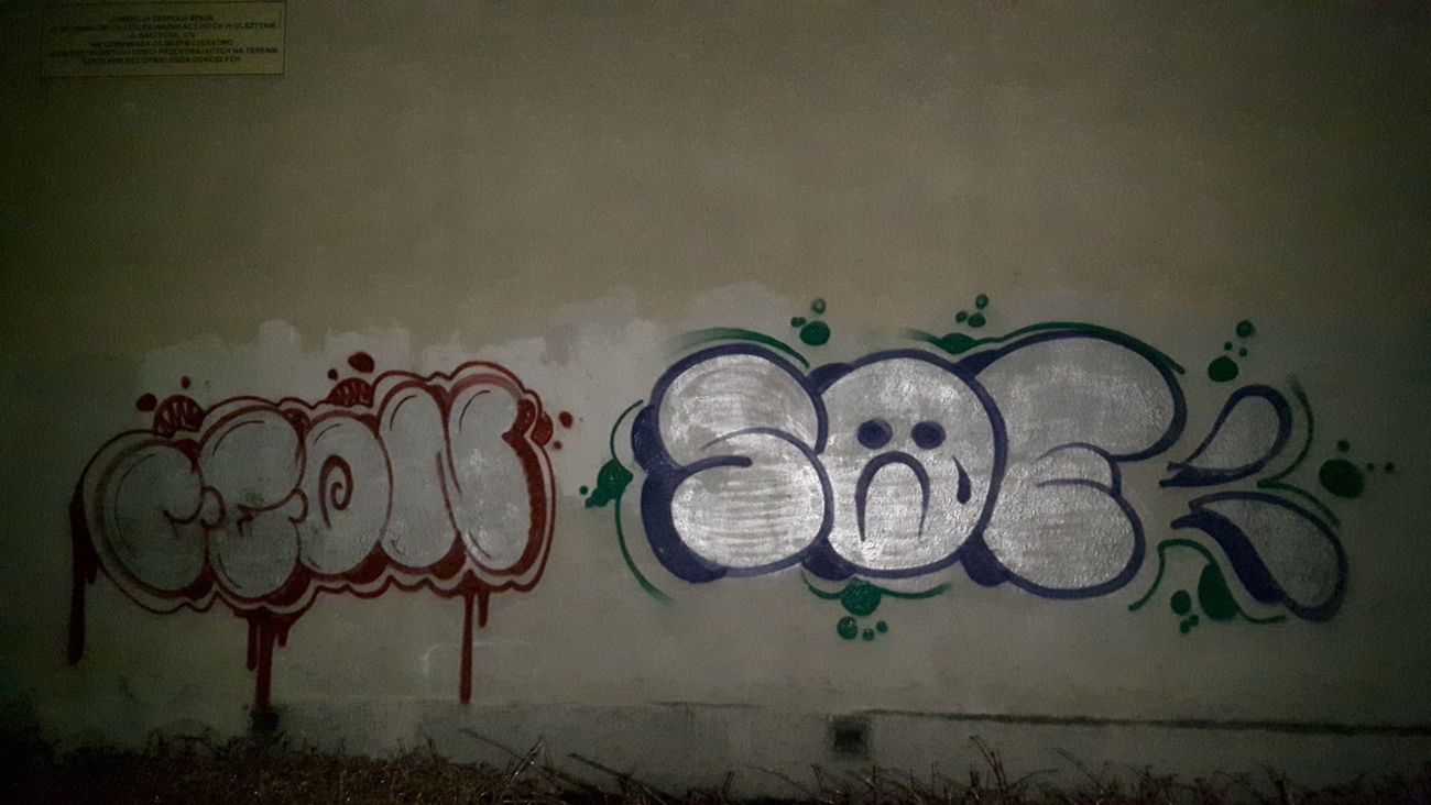 Graffiti Bombing - Photo by metanol