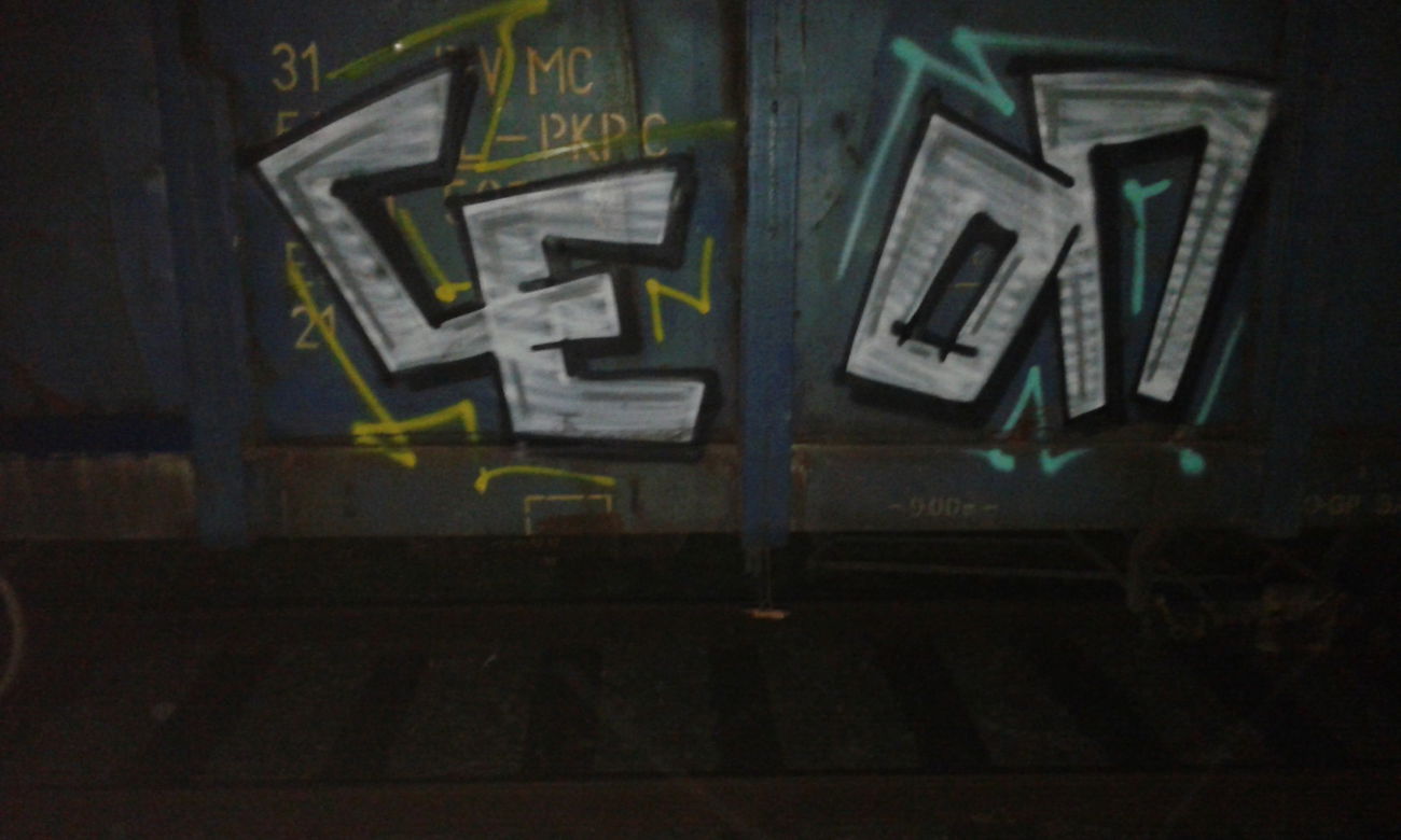 Graffiti Train - Photo by metanol