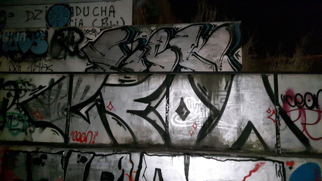 Graffiti Bombing - Photo by metanol