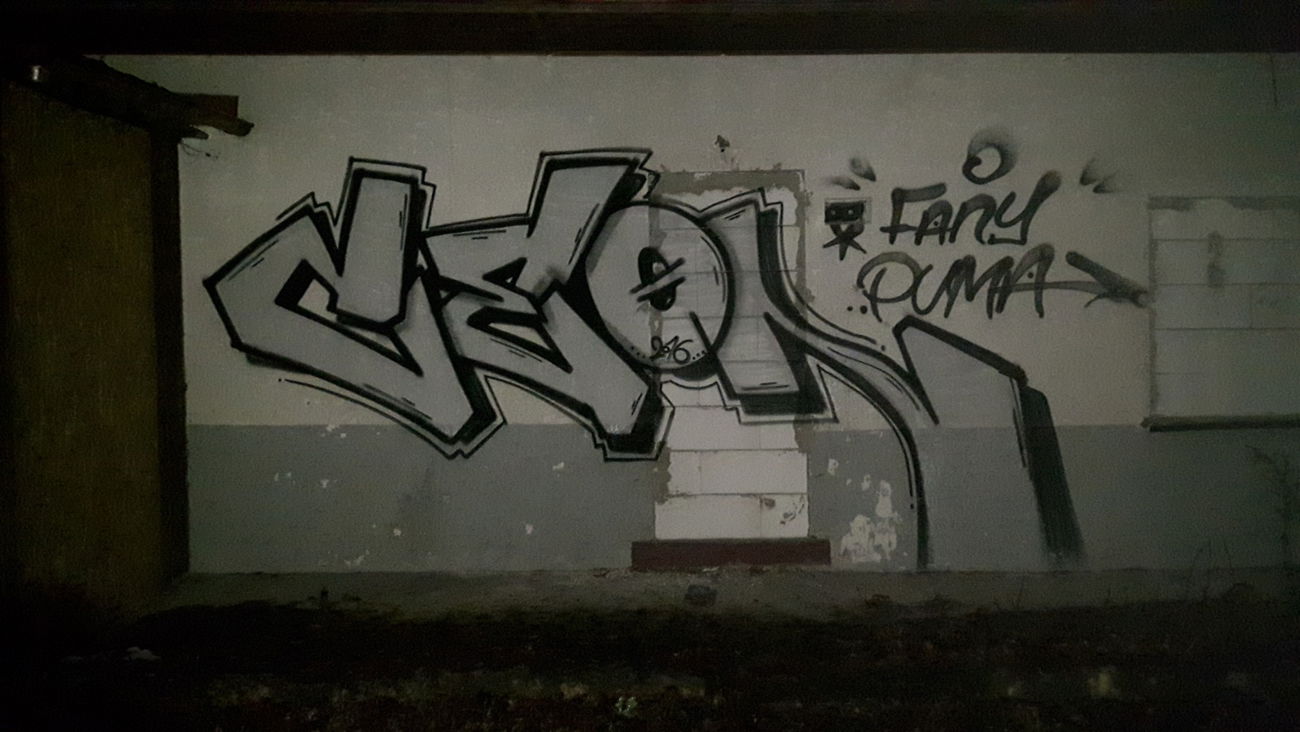 Graffiti Bombing - Photo by metanol