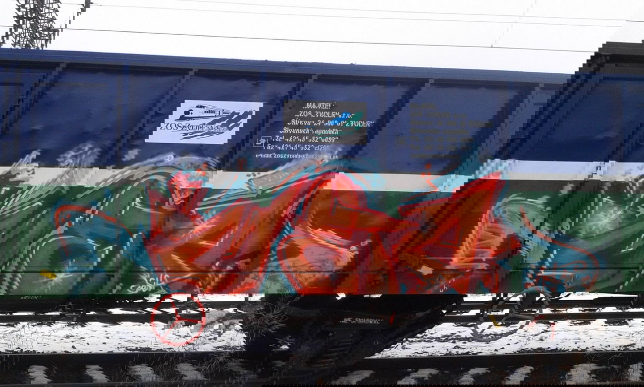 Graffiti Train - Photo by metanol