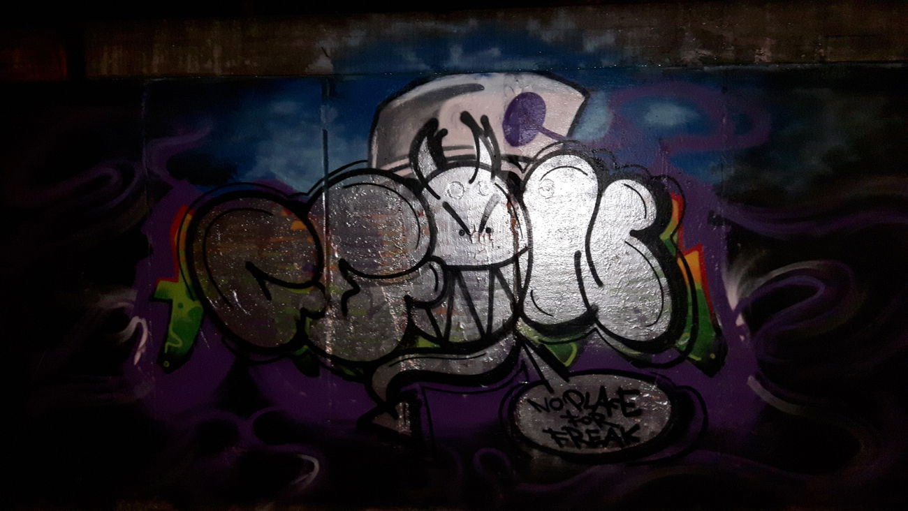 Graffiti Bombing - Photo by metanol