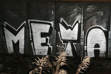 Graffiti Train - Photo by metanol