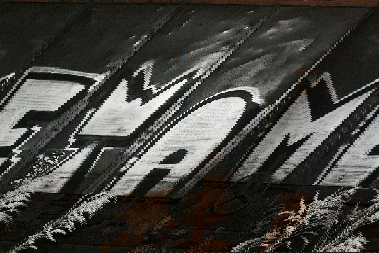 Graffiti Train - Photo by metanol