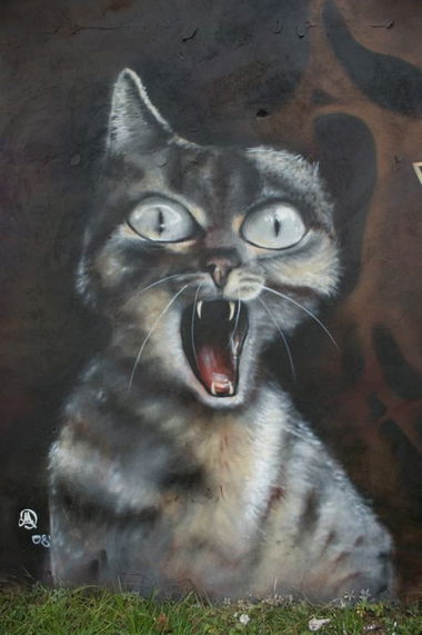 Graffiti Wall - Photo by mgrmors - mgr, mors, cat (2008)