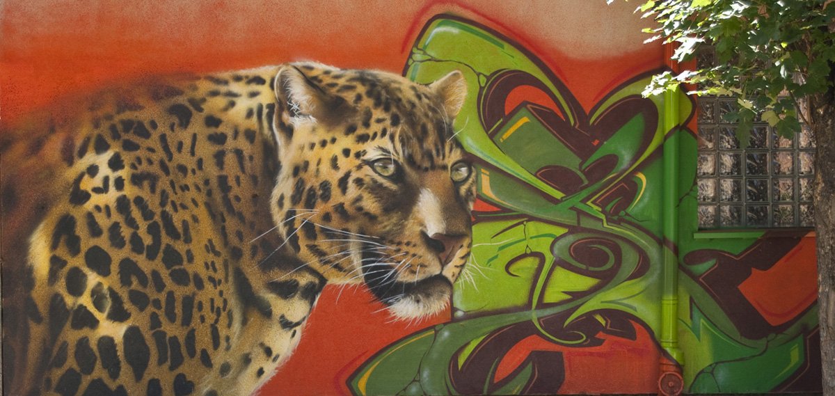 Graffiti Wall - Photo by mgrmors (2013)