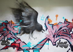 Photo #39383 by Waxso