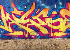 Photo #227529 by CERT215