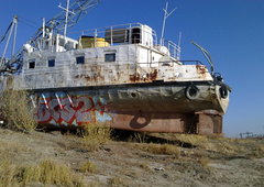 Photo #30766 by BugZBuNNy