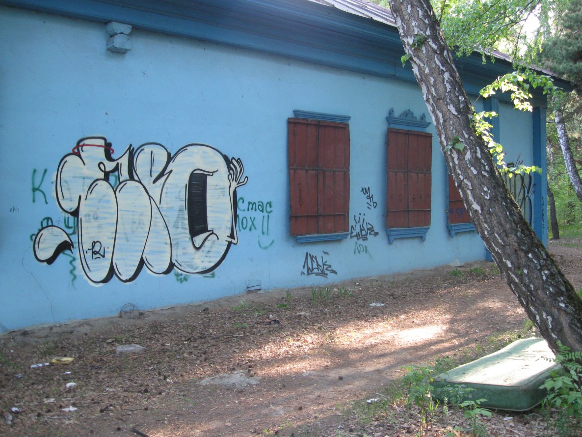 Graffiti Bombing in Tyumen - Photo by microu - mio (2012)