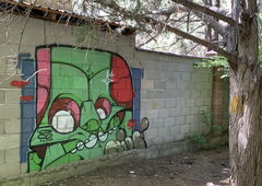 Graffiti Wall - Photo by mide - ogmide, kyrgyzgraffiti