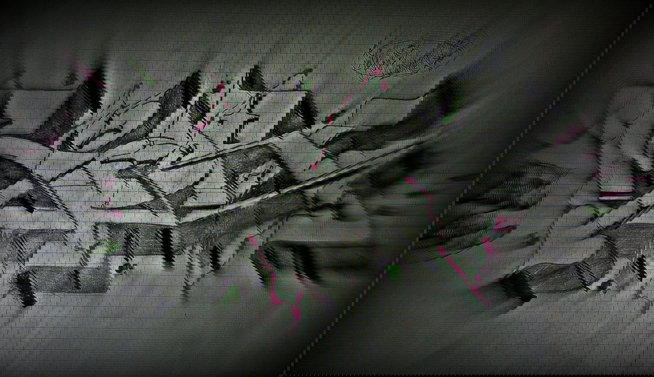 Graffiti Sketch - Photo by mioer - mioer