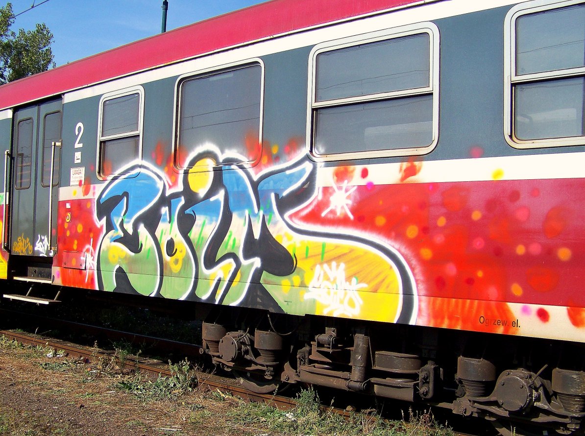 Graffiti Train - Photo by mioer - mioe (2009)
