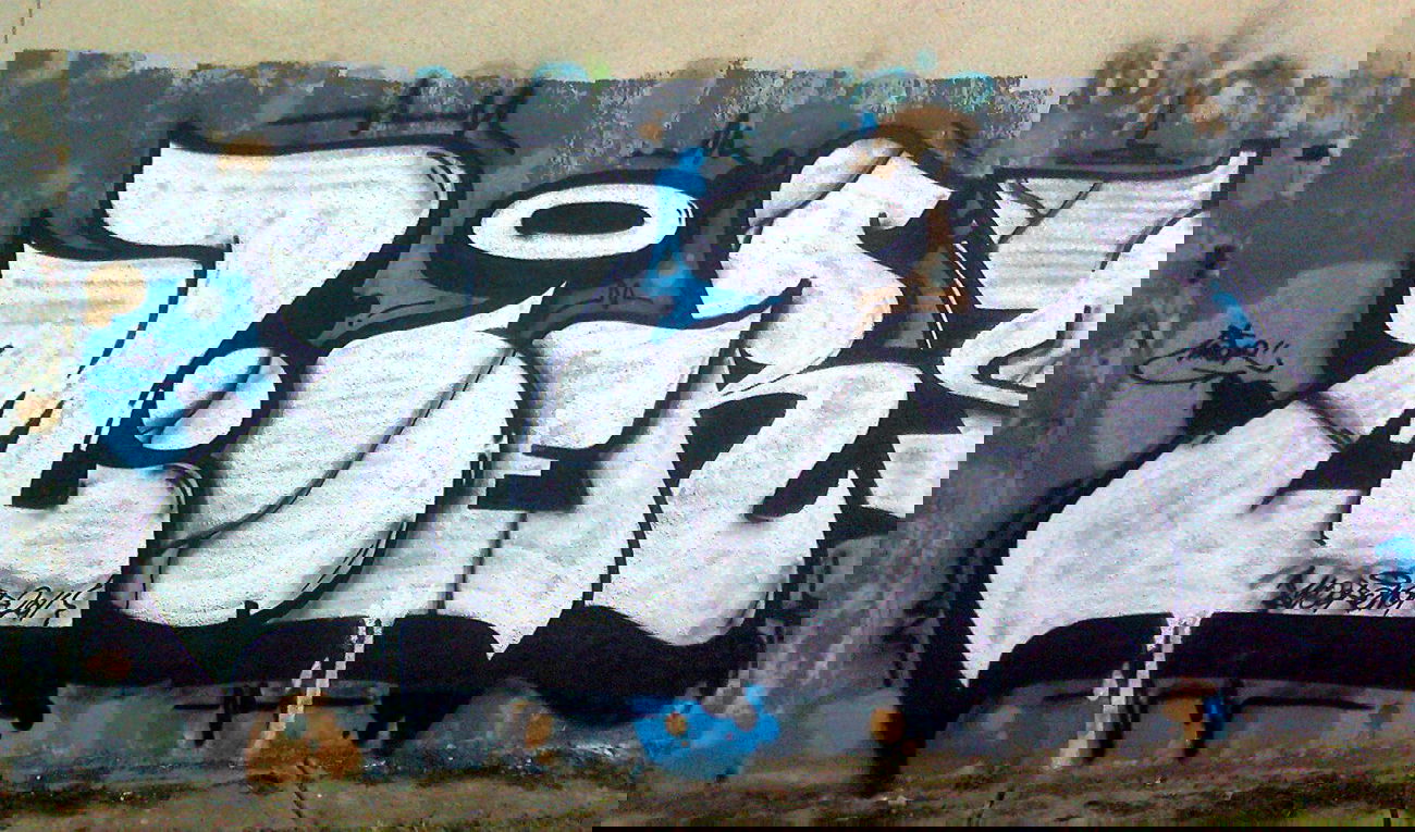 Graffiti Bombing - Photo by mioer