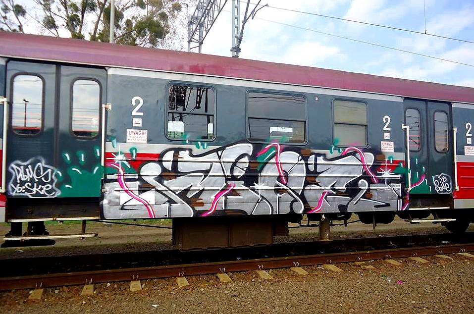 Graffiti Train - Photo by mioer