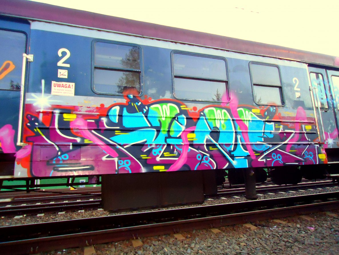 Graffiti Train - Photo by mioer