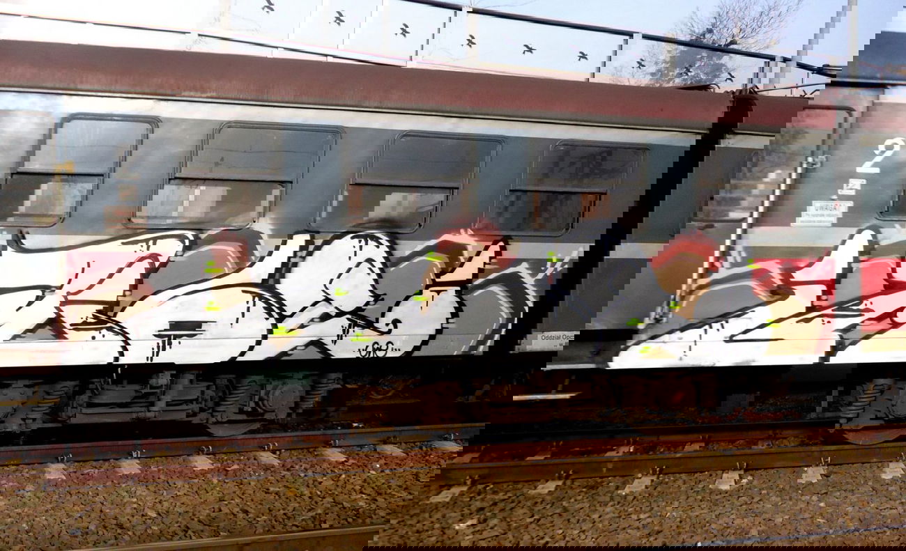 Graffiti Train - Photo by mioer