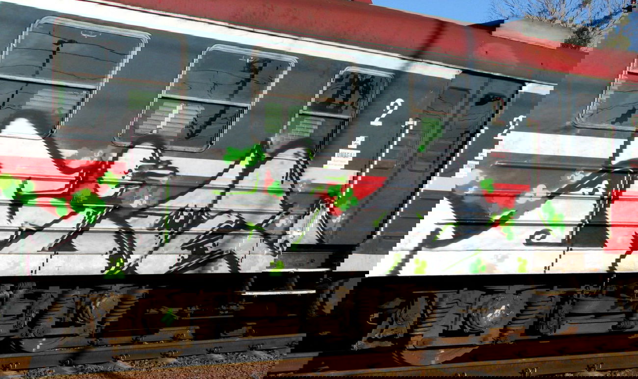 Graffiti Train - Photo by mioer