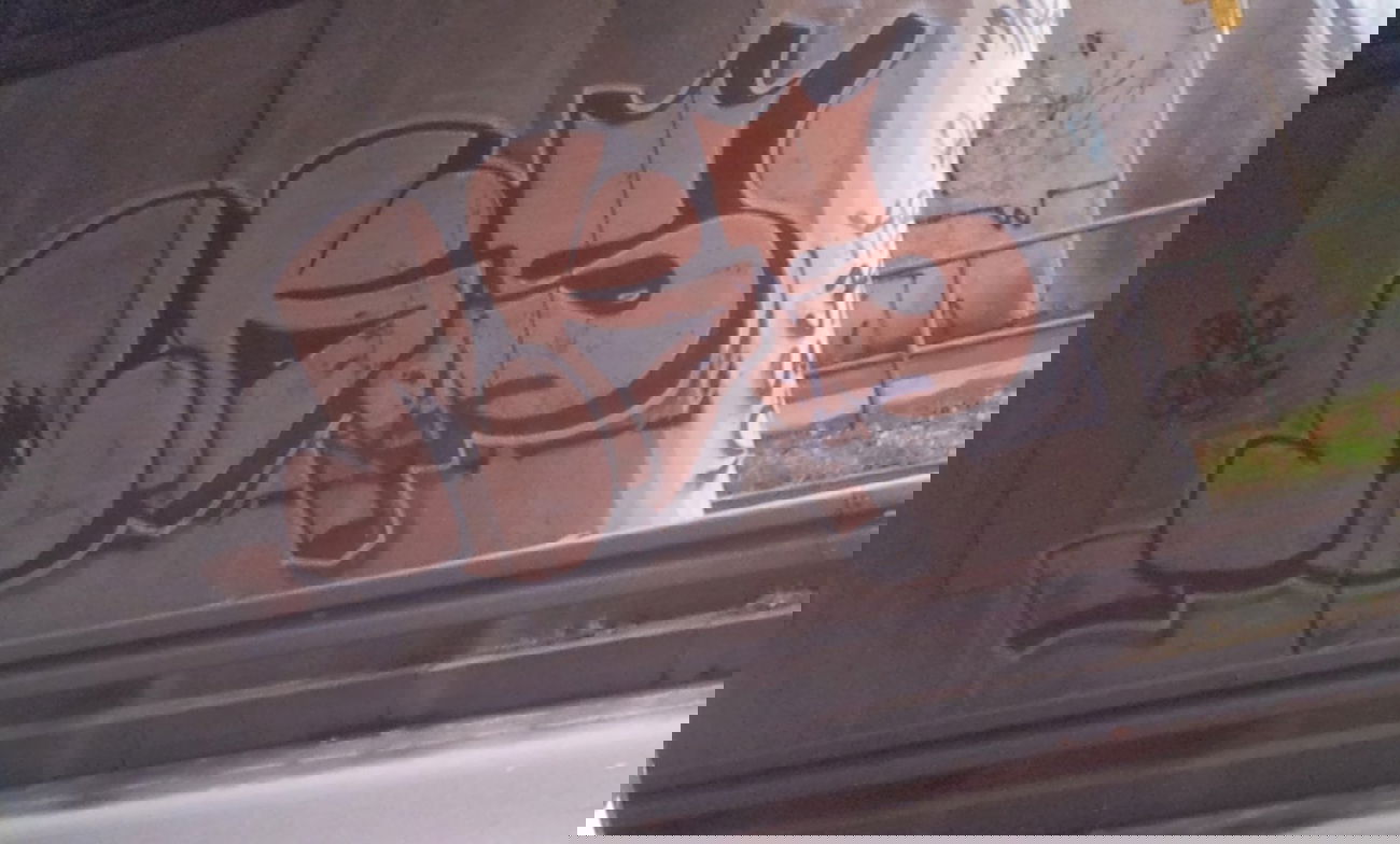 Graffiti Wall - Photo by miran_137 - mks