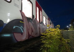 Photo #249872 by polies1