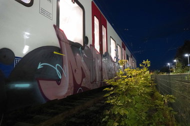 Graffiti Train - Photo by mirea19 - mirea (2025)