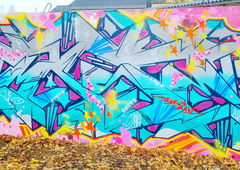 Graffiti Wall - Photo by mist (2022)