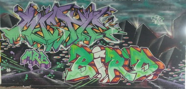 Graffiti Wall - Photo by mist - mist, bird, mrb (2014)