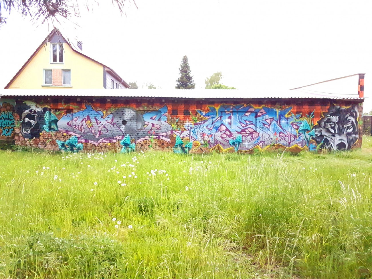 Graffiti Wall in Berlin - Photo by mist (2018)