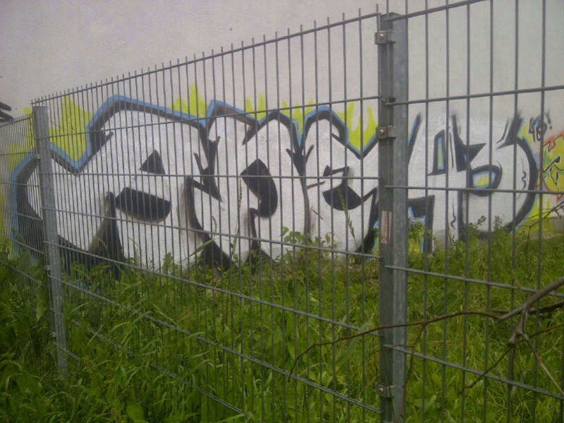 Graffiti Bombing in chemnitz - Photo by mista_CAIBZ_one - ANE, 43, caibz (2013)