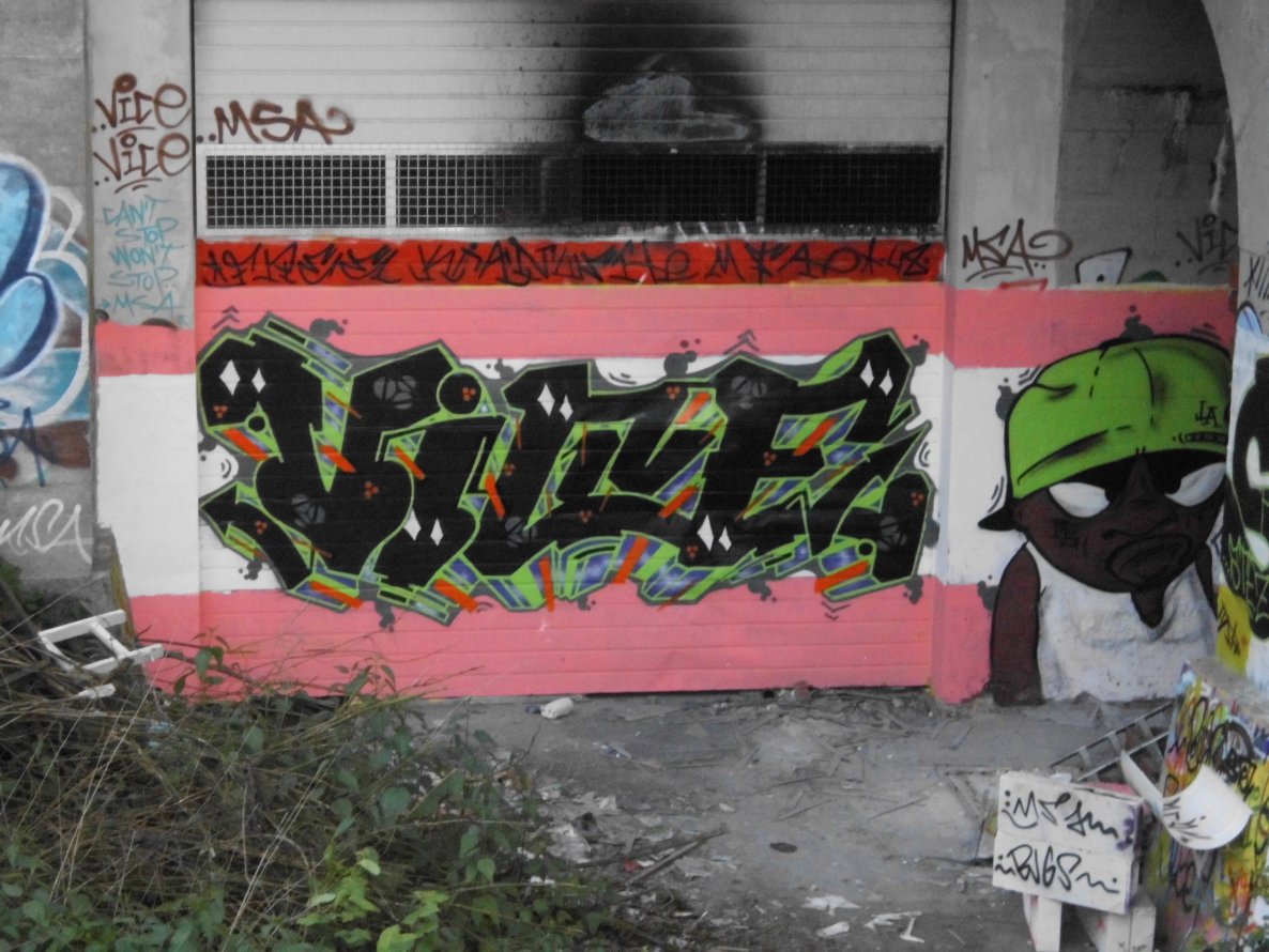 Graffiti Wall - Photo by mistanice - msa, vice, bugs