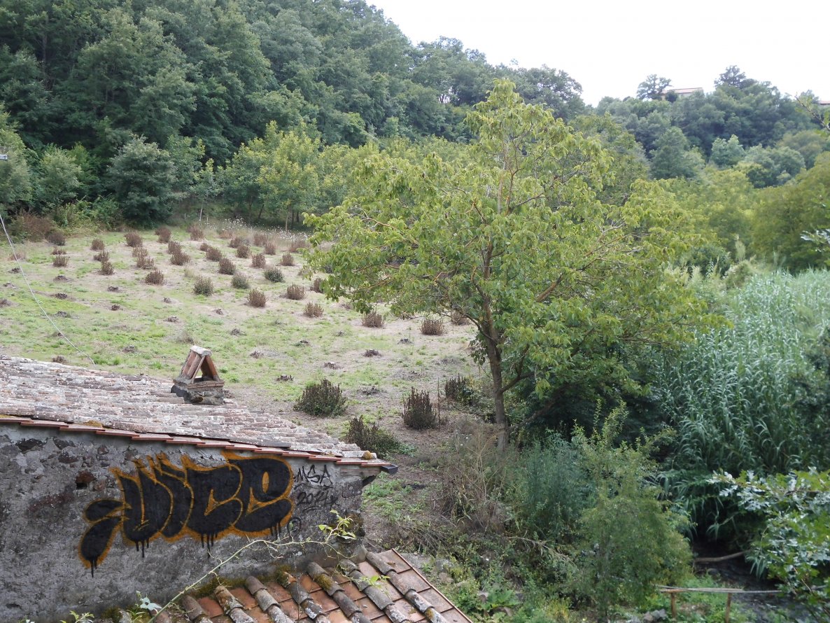 Graffiti Bombing - Photo by mistanice - vice, msa, italy (2014)